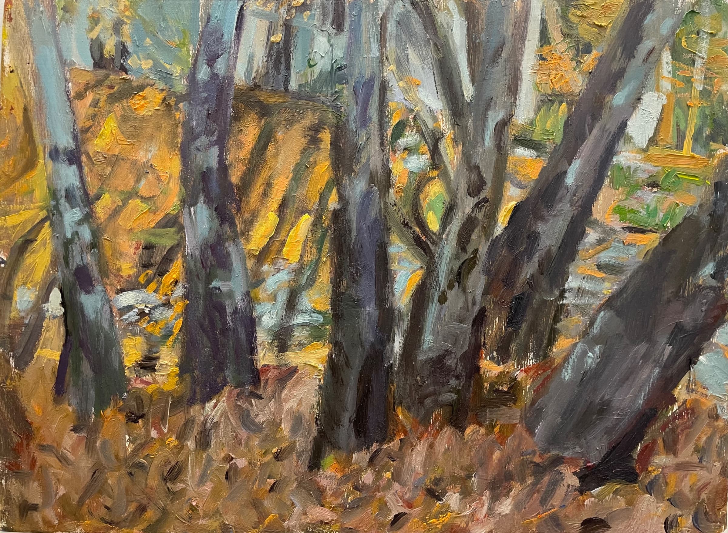 Lovely Trees of Baraghoon